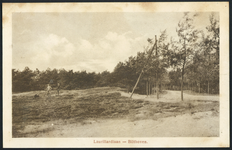 17108 Gezicht op de heide nabij de Laurillardlaan te Bilthoven (gemeente De Bilt).